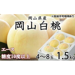 yӂ邳Ɣ[Łz 2026N R  G[X 4`8 1.5kg JA܂̂iEj   RY Y t[c ʕ Mtg |  t[c ʕ  Hi lC 