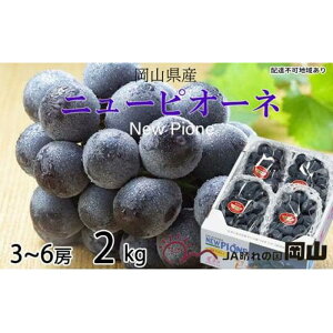 yӂ邳Ɣ[ŁzԂǂ 2026N j[ sI[l 3[`6[ 2kg uhE  RY Y t[c ʕ Mtg | t[c ʕ  Hi lC  