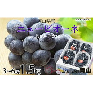 yӂ邳Ɣ[ŁzԂǂ 2026N j[ sI[l 3[`6[ 1.5kg uhE  RY Y t[c ʕ Mtg | t[c ʕ  Hi lC  