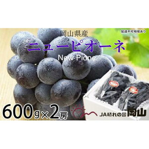 yӂ邳Ɣ[ŁzԂǂ 2026N j[ sI[l 600g×2[ uhE  RY Y t[c ʕ Mtg | t[c ʕ  Hi lC  