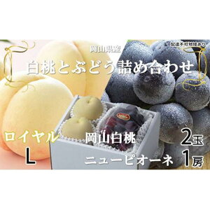 yӂ邳Ɣ[Łz Ԃǂ 2026N R  C 2×200giLTCYAEjj[ sI[l 1[400g lߍ킹 RY t[c | t[c ʕ  Hi lC 