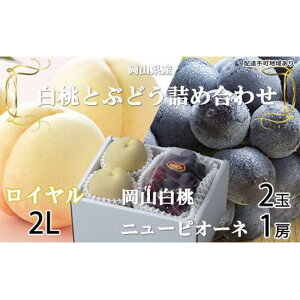 yӂ邳Ɣ[Łz Ԃǂ 2026N R  C 2×250gi2LTCYAEjj[ sI[l 1[500g lߍ킹 RY t[c | t[c ʕ  Hi lC 