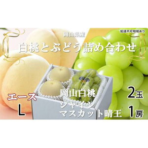 yӂ邳Ɣ[Łz Ԃǂ 2026N R  G[X 2×200giLTCYAEj VC }XJbg  1[400g lߍ킹 RY t[c | t[c ʕ  Hi 