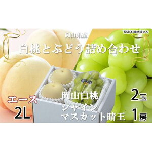 yӂ邳Ɣ[Łz Ԃǂ 2026N R  G[X 2×250gi2LTCYAE j VC }XJbg  1[500g lߍ킹 RY t[c | t[c ʕ  H