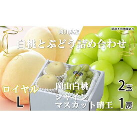 【ふるさと納税】桃 ぶどう 2024年 先行予約 岡山 白桃 ロイヤル 2玉×約200g（Lサイズ、早生種・中生種） シャイン マスカット 晴王 1房約400g 詰め合わせ 岡山県産 フルーツ[No.5220-0961] | フルーツ 果物 くだもの 食品 人気