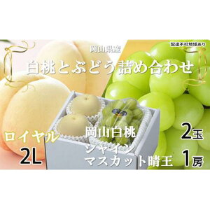 yӂ邳Ɣ[Łz Ԃǂ 2026N R  C 2×250gi2LTCYAEj VC }XJbg  1[500g lߍ킹 RY t[c | t[c ʕ  H