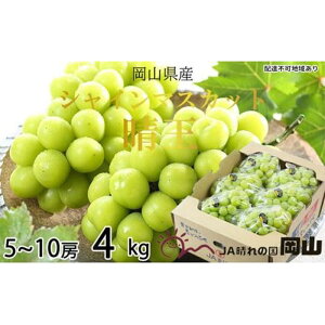 yӂ邳Ɣ[ŁzԂǂ 2025N s\ VC }XJbg  5[`10[ 4kg uhE  RY Y t[c ʕ Mtg | t[c ʕ  Hi lC  