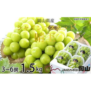 yӂ邳Ɣ[ŁzԂǂ 2025N s\ VC }XJbg  3[`6[ 1.5kg uhE  RY Y t[c ʕ Mtg | t[c ʕ  Hi lC  
