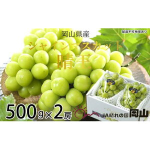 yӂ邳Ɣ[ŁzԂǂ 2025N s\ VC }XJbg  500g×2[ uhE  RY Y t[c ʕ Mtg | t[c ʕ  Hi lC  
