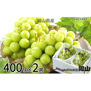 yӂ邳Ɣ[ŁzԂǂ 2025N s\ VC }XJbg  400g×2[ uhE  RY Y t[c ʕ Mtg | t[c ʕ  Hi lC  