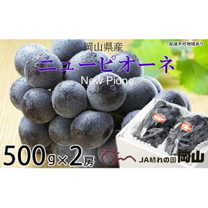 yӂ邳Ɣ[ŁzԂǂ 2025N s\ j[ sI[l 500g×2[ uhE  RY Y t[c ʕ Mtg | t[c ʕ  Hi lC  