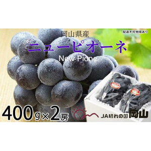 yӂ邳Ɣ[ŁzԂǂ 2025N s\ j[ sI[l 400g×2[ uhE  RY Y t[c ʕ Mtg | t[c ʕ  Hi lC  