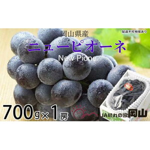 yӂ邳Ɣ[ŁzԂǂ 2025N s\ j[ sI[l 700g×1[ uhE  RY Y t[c ʕ Mtg | t[c ʕ  Hi lC  