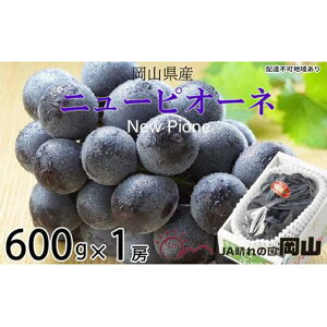 yӂ邳Ɣ[ŁzԂǂ 2025N s\ j[ sI[l 600g×1[ uhE  RY Y t[c ʕ Mtg | t[c ʕ  Hi lC  