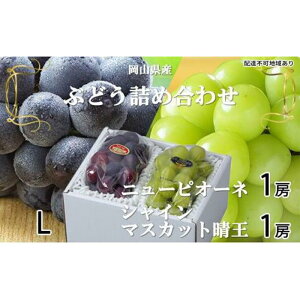 yӂ邳Ɣ[ŁzԂǂ 2026N j[ sI[l 1[ 400g VC }XJbg  1[ 400g lߍ킹 uhE  RY Y t[c ʕ Mtg | t[c ʕ  Hi l