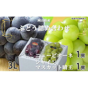 yӂ邳Ɣ[ŁzԂǂ 2025N s\ j[ sI[l 1[ 600g VC }XJbg  1[ 600g lߍ킹 uhE  RY Y t[c ʕ Mtg | t[c ʕ 