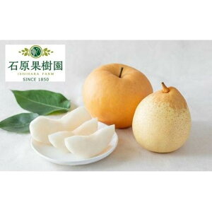 �y�ӂ邳�Ɣ[�Łz�� 2025�N ���O���j���i���������j �����1�� 1kg�`1.4kg�E���O�������i�����j 3�`5�� �l���� ���v3.0kg�ȏ� ������ ���R���Y �t���[�c �M�t�g �Ό��ʎ��� | �t���[�c �ʕ� ������