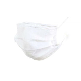 【ふるさと納税】不織布マスク 1箱(50枚入り) | 植物 プランター 人気 おすすめ 送料無料