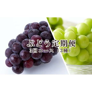 yӂ邳Ɣ[ŁzԂǂ  2026N ̍ R  Ԃǂ 3R[X  uhE RY Y Zbg Mtg | t[c ʕ  Hi lC  