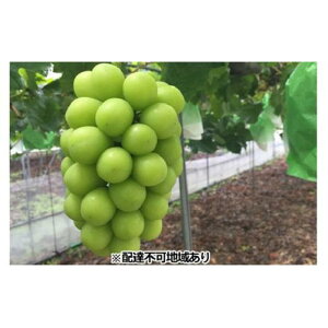 yӂ邳Ɣ[ŁzRY pVC}XJbg 2[i1[700gOj t[c Ԃǂ  Ђ炽_ R 2025N | t[c ʕ  Hi lC  