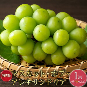 �y�ӂ邳�Ɣ[�Łz�Ԃǂ� 2026�N ���G�i �}�X�J�b�g �E�I�u�E�A���L�T���h���A 1�[700g�ȏ� �}�X�J�b�g �u�h�E ���� ���R���Y ���Y �t���[�c �ʕ� �M�t�g | �t���[�c �ʕ� �������� �H�i �l�C ��