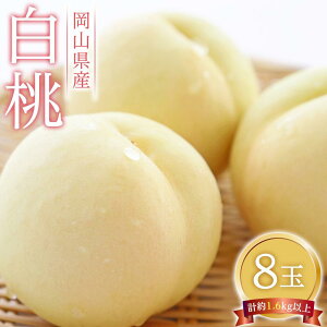 �y�ӂ邳�Ɣ[�Łz�� 2026�N ���� 8�ʁi1��200g�ȏ�j ���� ���� ���R���Y ���Y �t���[�c �ʕ� �M�t�g | ���� �t���[�c �ʕ� �������� �H�i �l�C �������� ��������