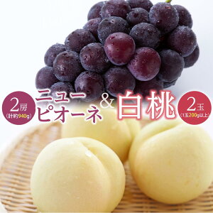 �y�ӂ邳�Ɣ[�Łz�� �Ԃǂ� 2026�N ���� 2�ʁi1��200g�ȏ�j �j���[ �s�I�[�l 2�[�i���v��940g�j�l���� ���� ���� ���R���Y ���Y �t���[�c �ʕ� �M�t�g | �t���[�c �ʕ� �������� �H�i �l�C ������