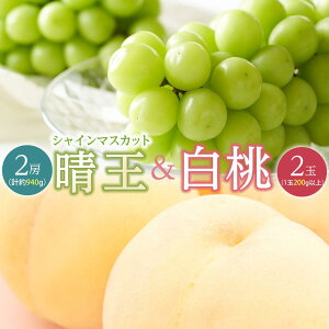 �y�ӂ邳�Ɣ[�Łz�� �Ԃǂ� 2026�N ���� 2�ʁi1��200g�ȏ�j �V���C�� �}�X�J�b�g �w�����x2�[�i���v��940g�j�l���� ���� ���� ���R���Y ���Y �t���[�c �ʕ� �M�t�g | �t���[�c �ʕ� �������� �H