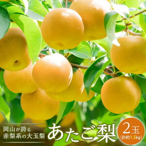 yӂ邳Ɣ[Łz 2025N s\  2ʁi1ʖ750gjv1.5kg Ȃ iV RY Y t[c ʕ Mtg | t[c ʕ  Hi lC  