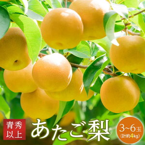 yӂ邳Ɣ[Łz 2025N s\  GNXȏ 3`6 4kg Ȃ iV RY Y t[c ʕ Mtg | t[c ʕ  Hi lC  