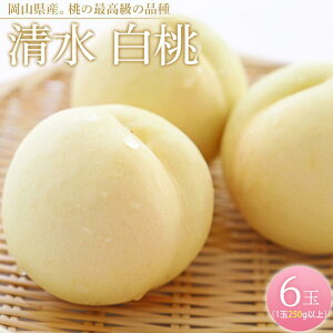 �y�ӂ邳�Ɣ[�Łz�� 2026�N ���� ���� 6�ʁi1��250g�ȏ�j ���� ���� ���R���Y ���Y �t���[�c �ʕ� �M�t�g | ���� �t���[�c �ʕ� �������� �H�i �l�C �������� ��������