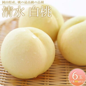 �y�ӂ邳�Ɣ[�Łz�� 2026�N ���� ���� 6�ʁi1��300g�ȏ�j ���� ���� ���R���Y ���Y �t���[�c �ʕ� �M�t�g | ���� �t���[�c �ʕ� �������� �H�i �l�C �������� ��������