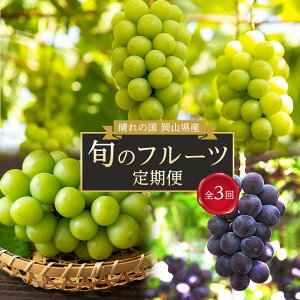 �y�ӂ邳�Ɣ[�Łz�t���[�c ����� 2026�N ����̍� ���R���Y �{�̃t���[�c����� 3��R�[�X ���� �Ԃǂ� ���R���Y ���Y �Z�b�g �M�t�g | �t���[�c �ʕ� �������� �H�i �l�C �������� ��������