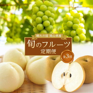 �y�ӂ邳�Ɣ[�Łz�t���[�c ����� 2026�N ����̍� ���R���Y �{�̃t���[�c����� 3��R�[�X-(2) �� ���� ���� �Ԃǂ� ���@�Ȃ��@���R���Y ���Y �Z�b�g �M�t�g | ���� �t���[�c �ʕ� �������� �H