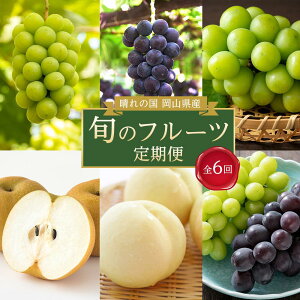 �y�ӂ邳�Ɣ[�Łz�t���[�c ����� 2026�N ����̍� ���R���Y �{�̃t���[�c����� 6��R�[�X �� ���� ���� �Ԃǂ� �� �Ȃ� ���R���Y ���Y �Z�b�g �M�t�g | ���� �t���[�c �ʕ� �������� �H�i �l