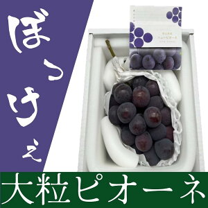 yӂ邳Ɣ[ŁzԂǂ 2025N s\ RY ڂ嗱I sI[l 1[ 800gȏ ϔ | t[c ʕ  Hi lC  
