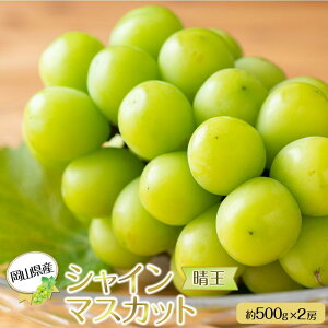 yӂ邳Ɣ[ŁzRY Ԃǂ 2025N VC}XJbg  500g×2[ v1kg 햳 uhE  t[c ʕ Mtg | t[c ʕ  Hi lC  