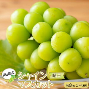 yӂ邳Ɣ[ŁzRY Ԃǂ 2025N VC}XJbg  2kg 3`6[ 햳 uhE  t[c ʕ Mtg | t[c ʕ  Hi lC  