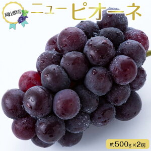 yӂ邳Ɣ[ŁzRY Ԃǂ 2026N j[ sI[l 500g×2[ 햳 uhE  t[c ʕ Mtg | R sI[l R Ԃǂ  ʌ ʕ t[c  ƒp