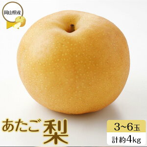 yӂ邳Ɣ[ŁzRY  3`6 v4kg  Ȃ ʕ t[c 2025N | t[c ʕ  Hi lC  