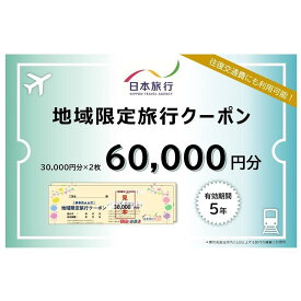 【ふるさと納税】岡山県岡山市 日本旅行 地域限定旅行クーポン60,000円分