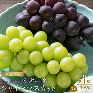 �y�ӂ邳�Ɣ[�Łz�Ԃǂ� 2026�N �j���[ �s�I�[�l 1�[�i480g�ȏ�j �V���C�� �}�X�J�b�g 1�[�i480g�ȏ�j | �t���[�c �ʕ� �������� �H�i �l�C �������� ��������