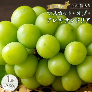 �y�ӂ邳�Ɣ[�Łz�Ԃǂ� 2026�N �}�X�J�b�g�E�I�u�E�A���L�T���h���A 1�[��750g ���ϔ����� �u�h�E ���� ���R���Y ���Y �t���[�c �ʕ� �M�t�g | �t���[�c �ʕ� �������� �H�i �l�C �������� ��