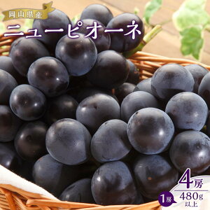 yӂ邳Ɣ[ŁzԂǂ 2025N s\ j[ sI[l 4[i1[480gȏj2kg uhE  RY Y t[c ʕ Mtg | t[c ʕ  Hi lC  