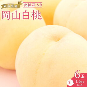 �y�ӂ邳�Ɣ[�Łz�� 2026�N ���R ���� 6�ʁi���v1.6kg�ȏ�j���ϔ����� ���� ���� ���R���Y ���Y �t���[�c �ʕ� �M�t�g | ���� �t���[�c �ʕ� �������� �H�i �l�C �������� ��������