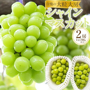 yӂ邳Ɣ[ŁzԂǂ 2025N s\ _  !  嗱 [ VC }XJbg 2[ i1[ 700gȏj uhE  RY Y t[c ʕ Mtg RY | t[c ʕ 
