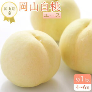 yӂ邳Ɣ[ŁzRY  R 2026N G[X 1kgi4`6ʁj  t[c ʕ Mtg |  momo  lߍ킹  R Rs t[c  Y  