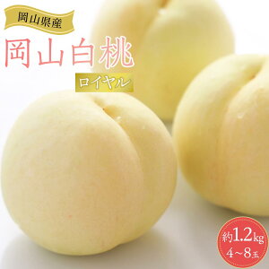 yӂ邳Ɣ[ŁzRY  R 2026N C 1.2kgi4`8ʁj  t[c ʕ Mtg |  momo  lߍ킹  R Rs t[c  Y 