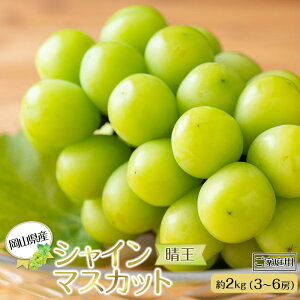 yӂ邳Ɣ[ŁzRY Ԃǂ 2025N ƒp VC}XJbg  2kgi3`6[juhE t[c ʕ | t[c ʕ  Hi lC  