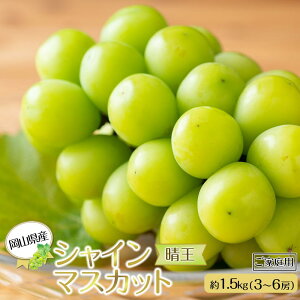 yӂ邳Ɣ[ŁzRY Ԃǂ 2025N ƒp VC}XJbg 1.5kg i3`6[juhE t[c ʕ | t[c ʕ  Hi lC  